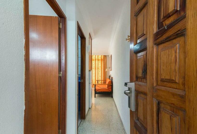 Apartamento 1 Dormitório, Apartamentos Amazonas