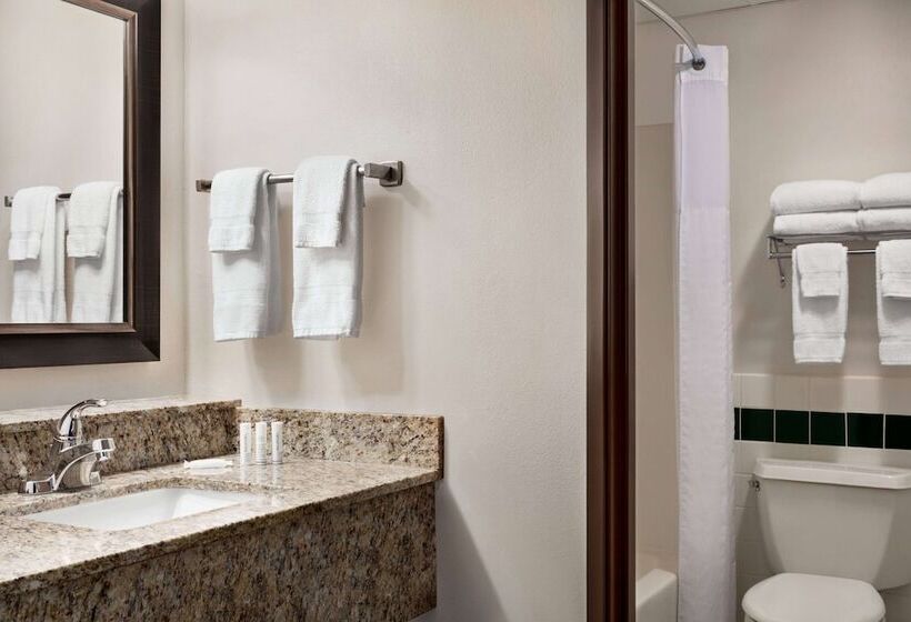 デラックススイート, Americinn By Wyndham Baudette