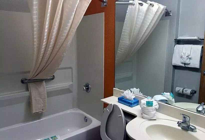 スイート, Hometown Inn & Suites Jacksonville Butler Blvd./southpoint