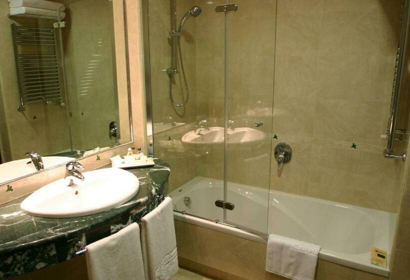 스파 이용가능한 스탠다드 룸, Sercotel Guadiana