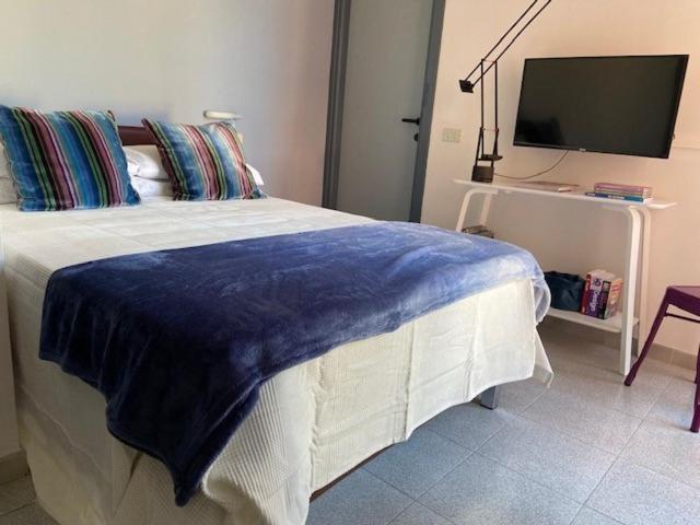 スタンダードシングルルーム, Mambo