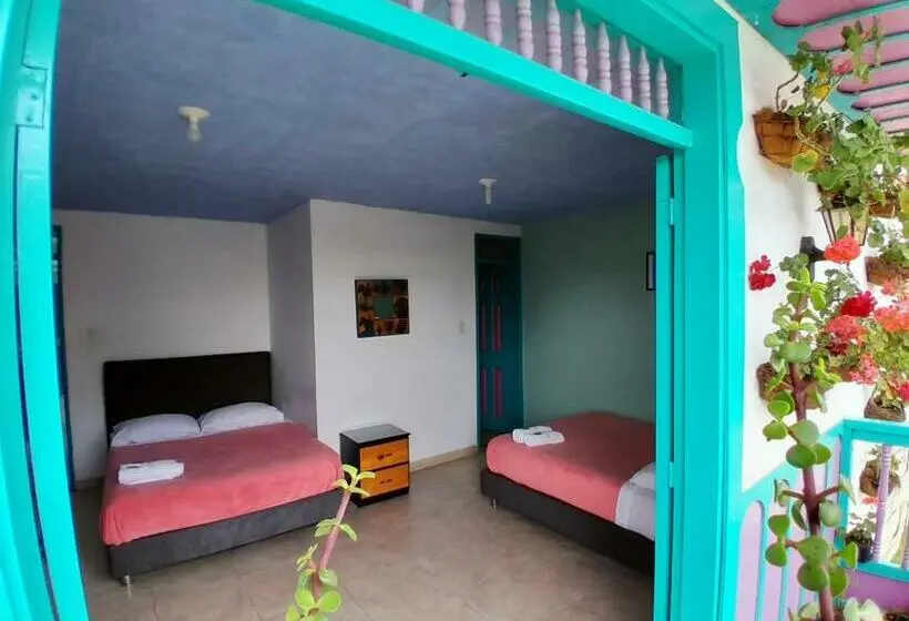 اتاق خانوادگی, Hostal Johnnier
