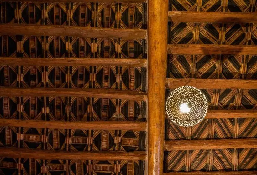 سوییت جونیور, Dar Bladi
