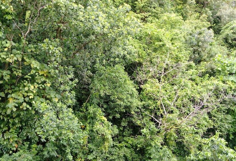 اتاق استاندارد با چشمانداز کوهستان, Sea Passion