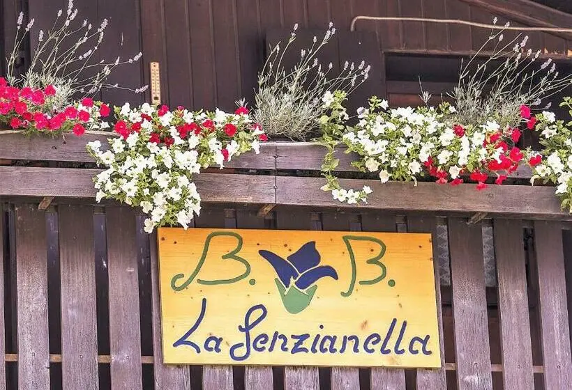 スタンダード４人部屋, B&b La Genzianella