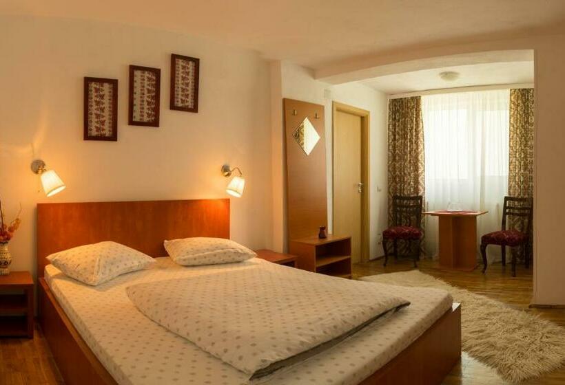 Номер Стандарт, Pensiunea Colt De Munte