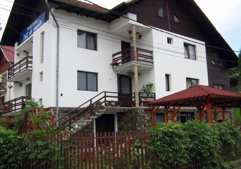 Дом 1 Спальня, Pensiunea Colt De Munte
