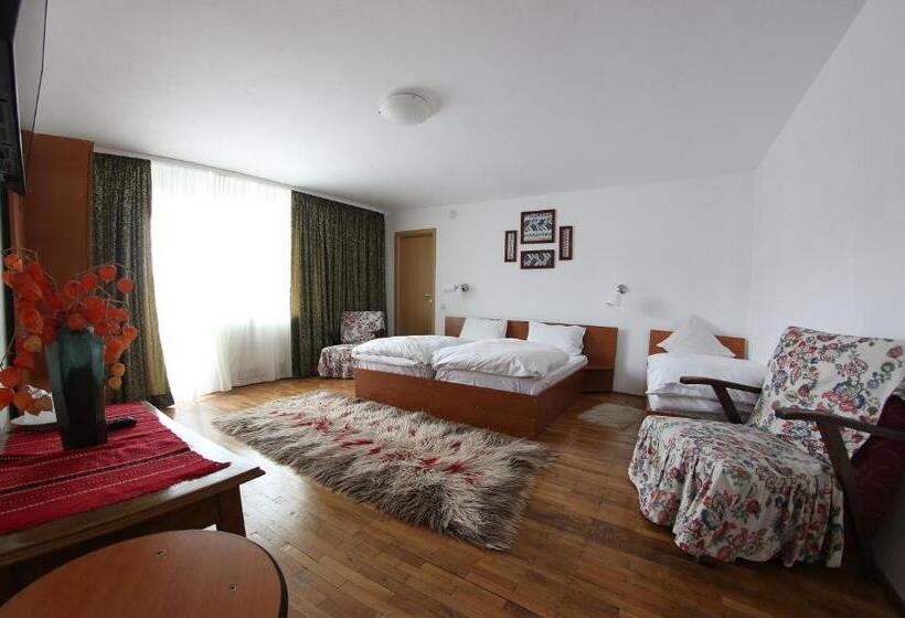 Номер Стандарт Трехместный, Pensiunea Colt De Munte