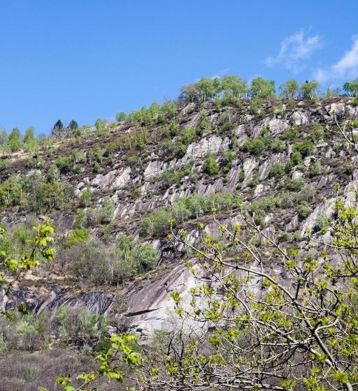 חדר סטנדרט חדר אמבטיה משותף, Bed And Breakfast Da Toldo