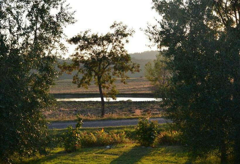 חדר סטנדרט, Agriturismo Podere Micitto