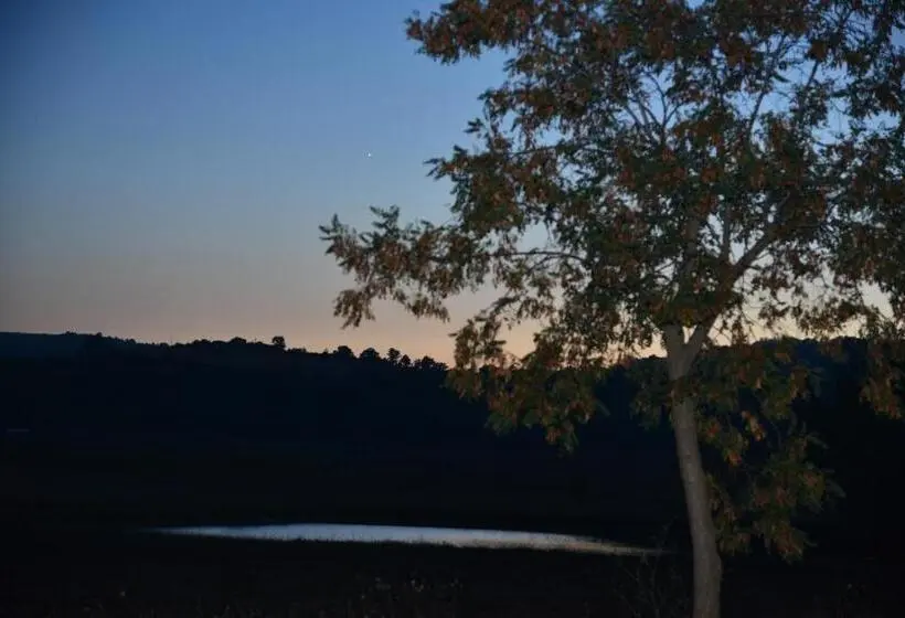 スタンダードルーム, Agriturismo Podere Micitto