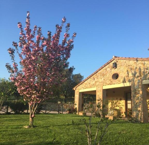 חדר סטנדרט, Agriturismo Podere Micitto