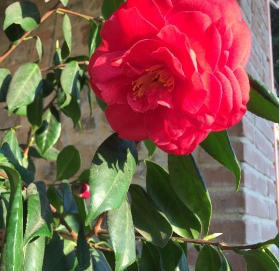 חדר סטנדרט, Agriturismo Podere Micitto