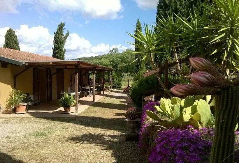 דירת חדר בקומת קרקע, Agriturismo Podere Mulinaccio