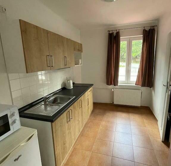 Апартаменты 1 Спальня, Rohanov