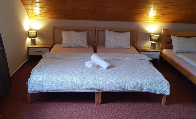 Номер Стандарт Трехместный, Rohanov