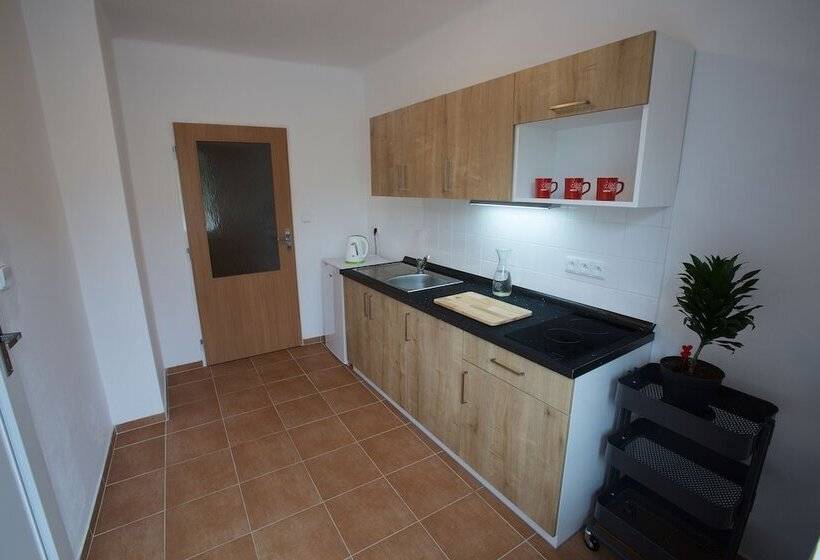 Апартаменты 1 Спальня, Rohanov