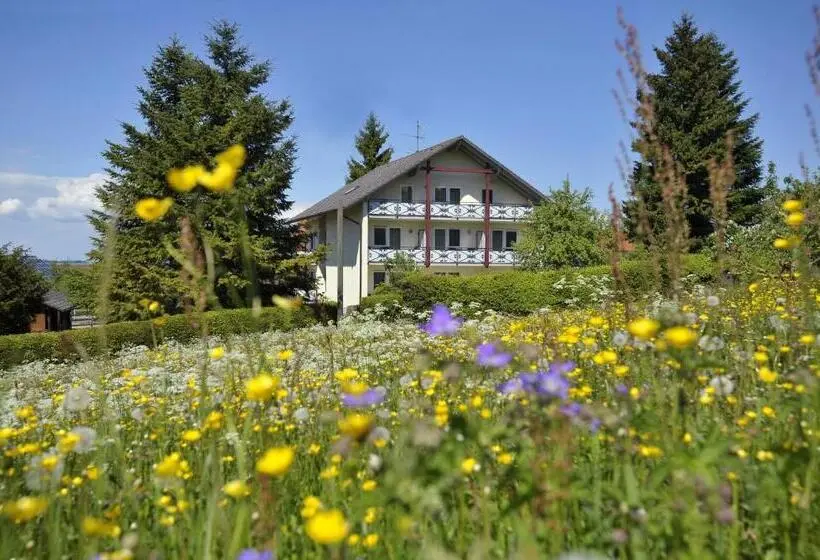 テラス付き１ベッドルームアパートメント, Pension Fohrenberg