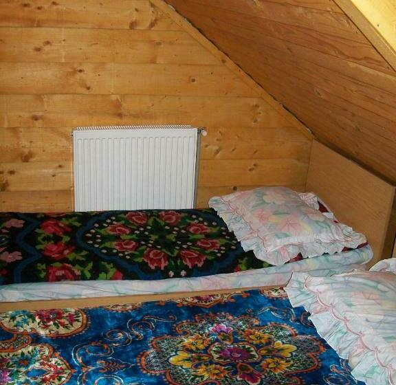 חדר סטנדרט חדר אמבטיה משותף, Pensiunea Carmen