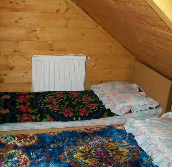 バス共有のスタンダードルーム, Pensiunea Carmen