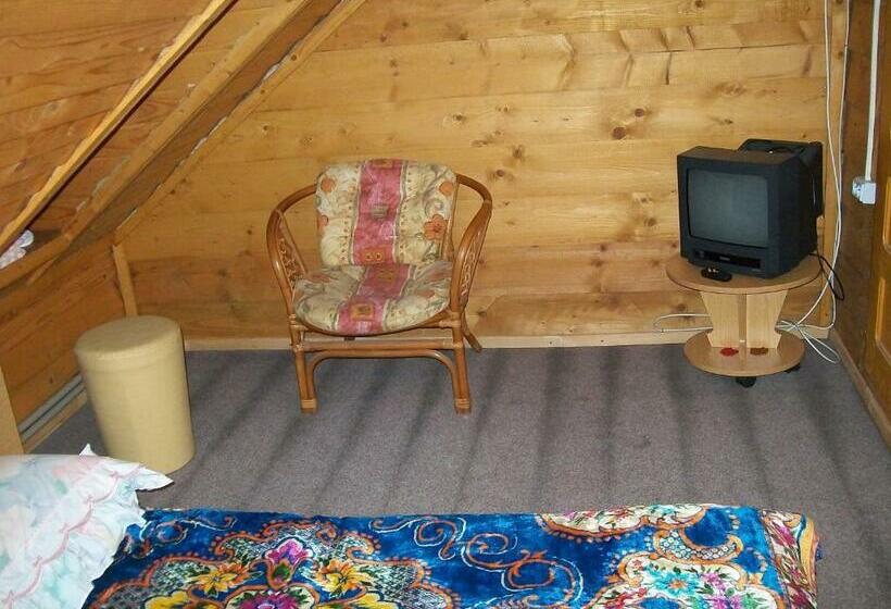 חדר סטנדרט חדר אמבטיה משותף, Pensiunea Carmen