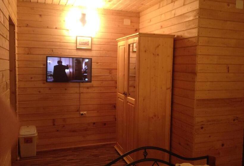 חדר סטנדרט, Pensiunea Carmen