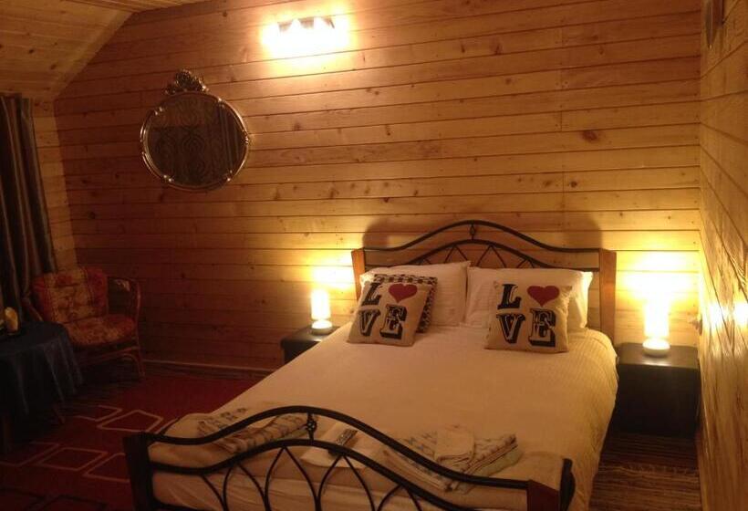 חדר סטנדרט, Pensiunea Carmen