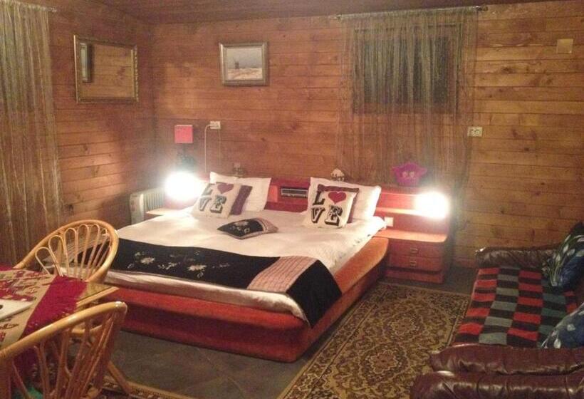 חדר סטנדרט, Pensiunea Carmen