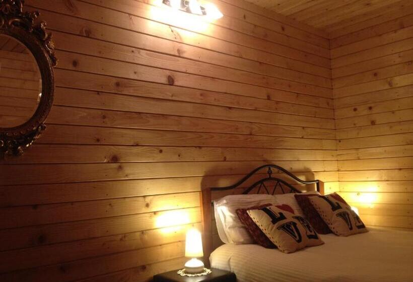 חדר סטנדרט, Pensiunea Carmen