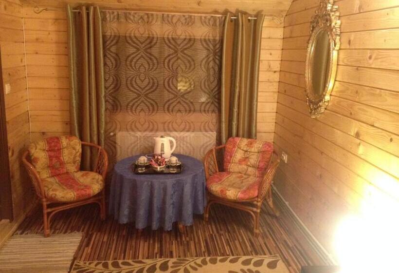 חדר סטנדרט, Pensiunea Carmen