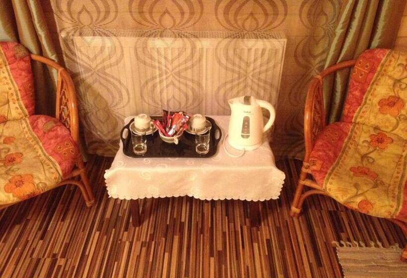 חדר סטנדרט, Pensiunea Carmen