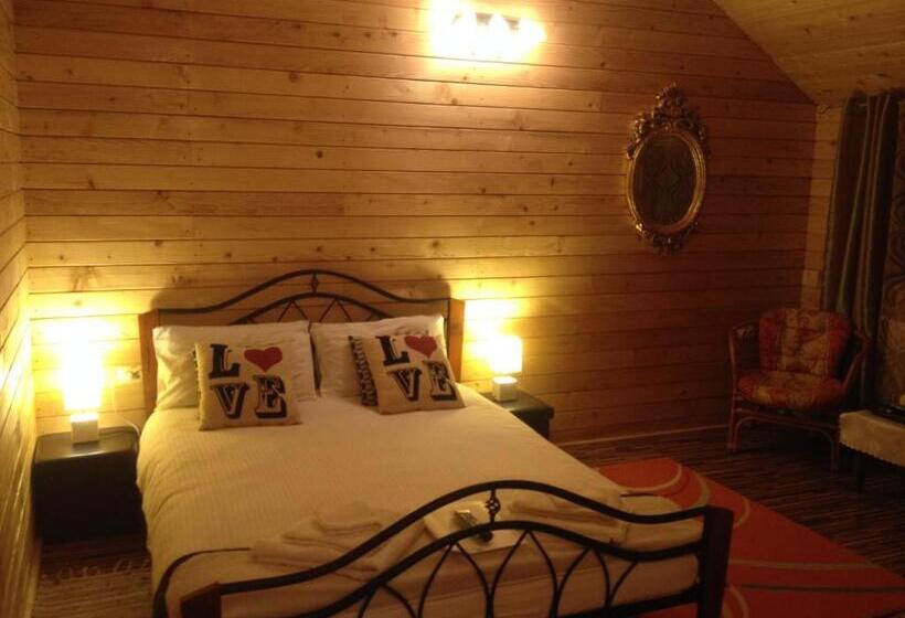 חדר סטנדרט, Pensiunea Carmen