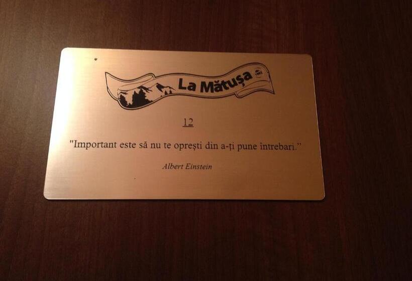 חדר סטנדרט, Pensiunea Carmen