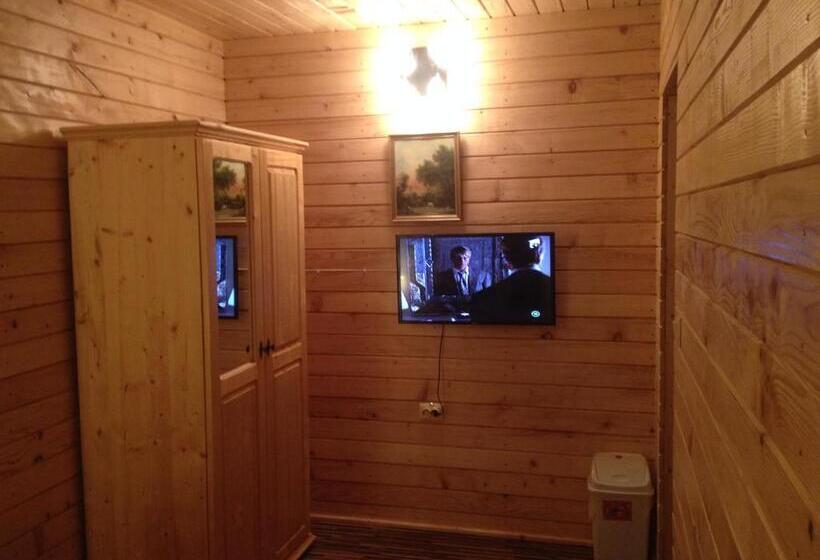 חדר סטנדרט, Pensiunea Carmen