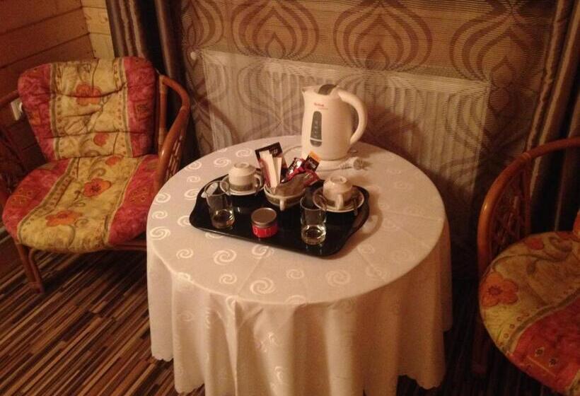 חדר סטנדרט, Pensiunea Carmen