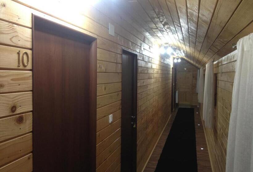 חדר סטנדרט, Pensiunea Carmen