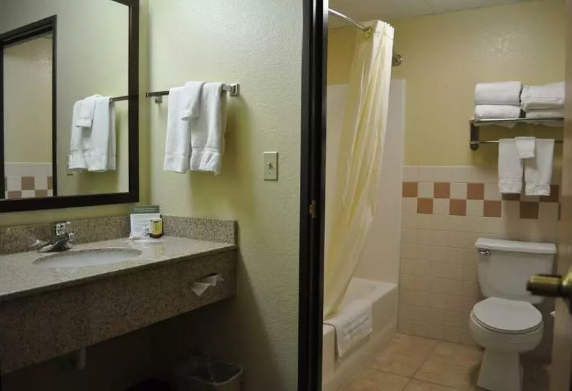 اتاق استاندارد, Spark By Hilton Cedar Falls