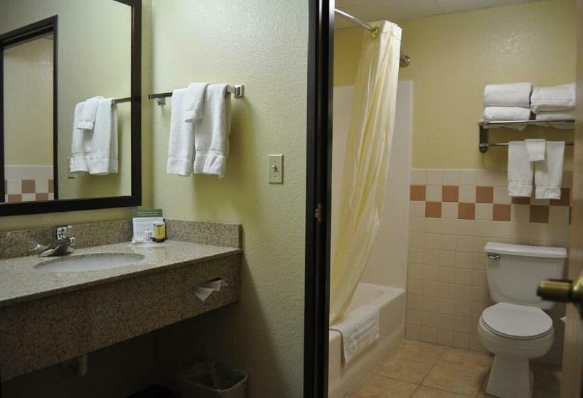 חדר סטנדרט עם מיטת קינג, Spark By Hilton Cedar Falls