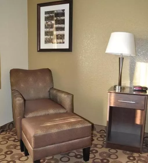 اتاق استاندارد با تخت بزرگ, Spark By Hilton Cedar Falls