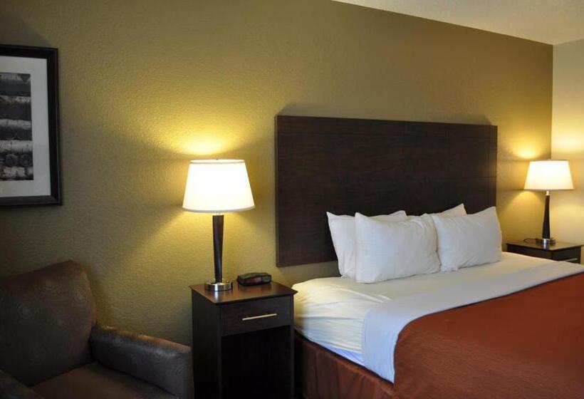 מיטת קינג בסוויטה, Spark By Hilton Cedar Falls