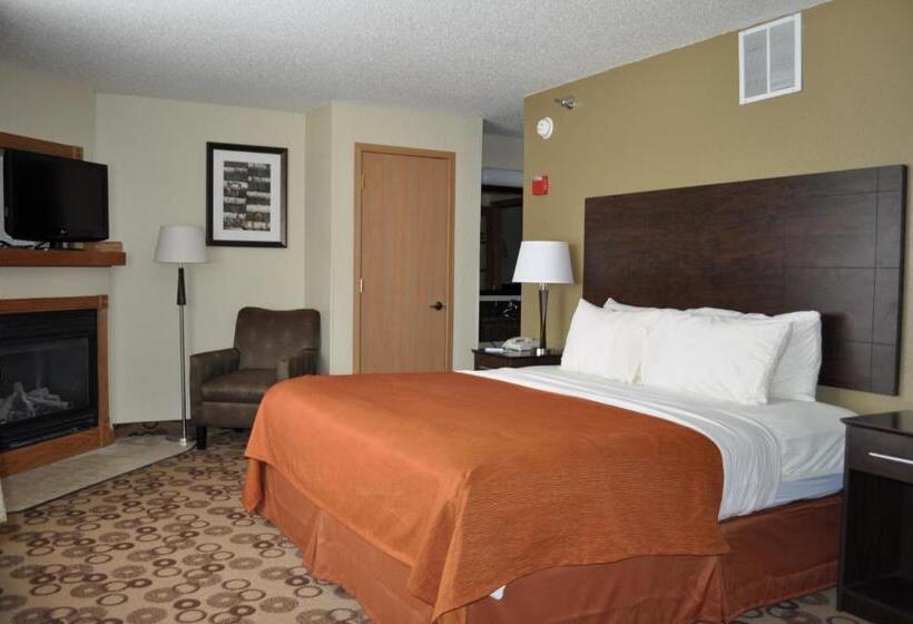 סוויטת פרמיום, Spark By Hilton Cedar Falls