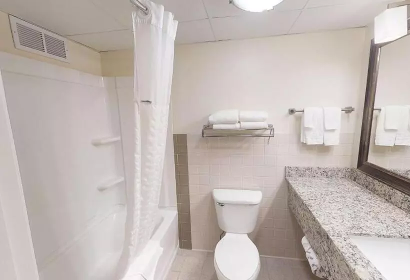 Standard-huone, Americinn By Wyndham Mounds View Minneapolis