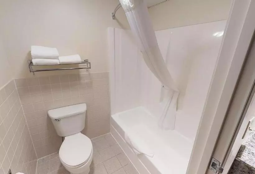 Standard-huone King-vuode, Americinn By Wyndham Mounds View Minneapolis