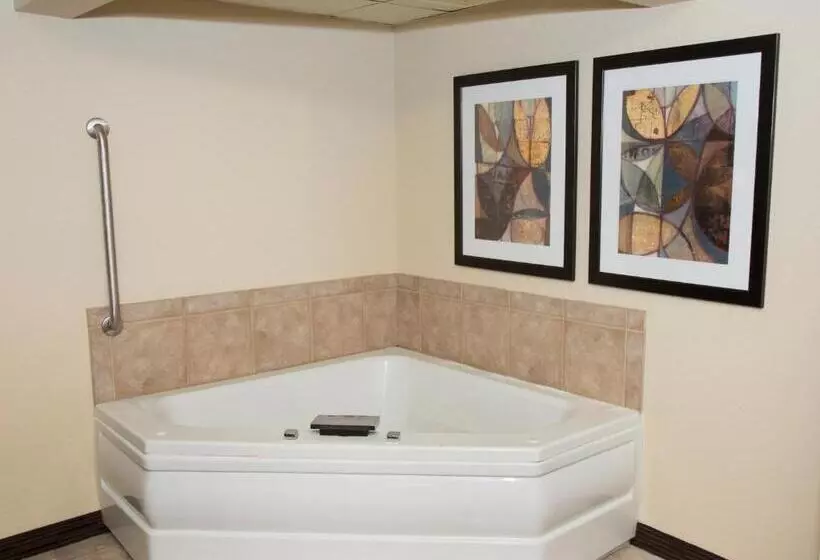 Standard-studio King-vuode, Americinn By Wyndham Mounds View Minneapolis