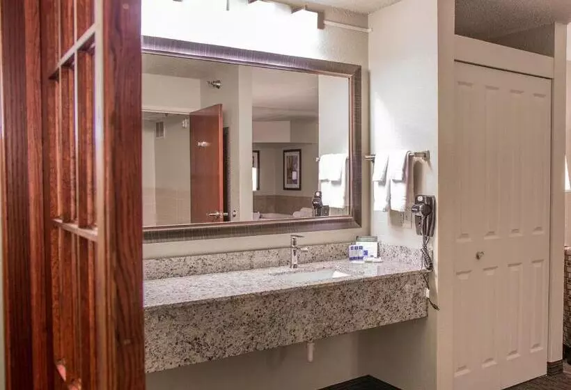 Deluxe Suite King Bed, Americinn By Wyndham Mounds View Minneapolis