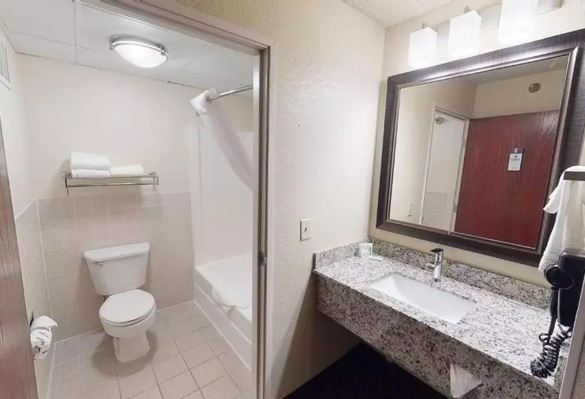 Deluxe Suite King Bed, Americinn By Wyndham Mounds View Minneapolis
