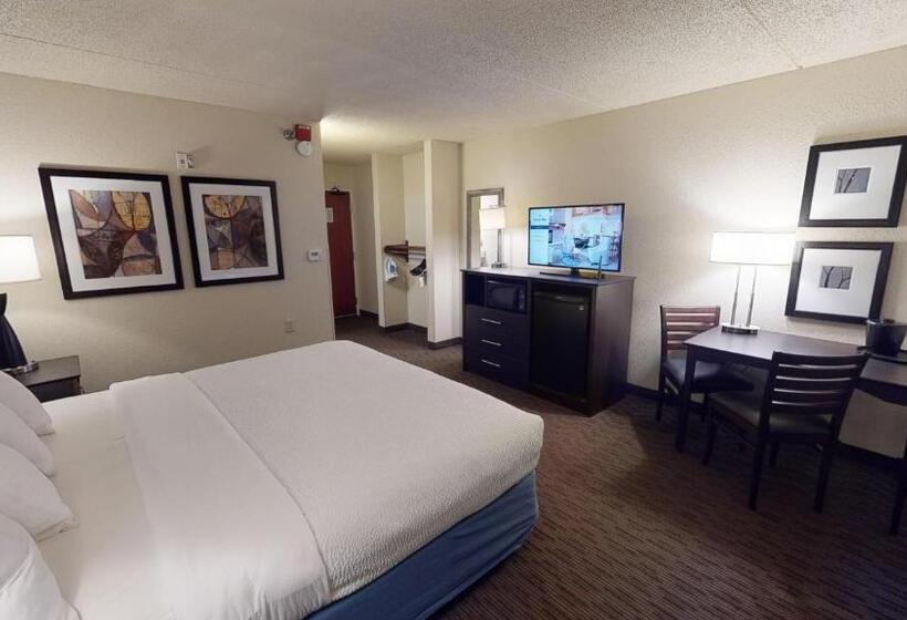 Номер Стандарт Кровать Кинг Адаптированный для Инвалидов, Americinn By Wyndham Mounds View Minneapolis