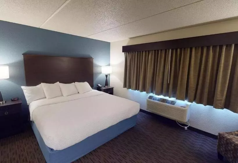 Standard-invahuone King-vuode, Americinn By Wyndham Mounds View Minneapolis