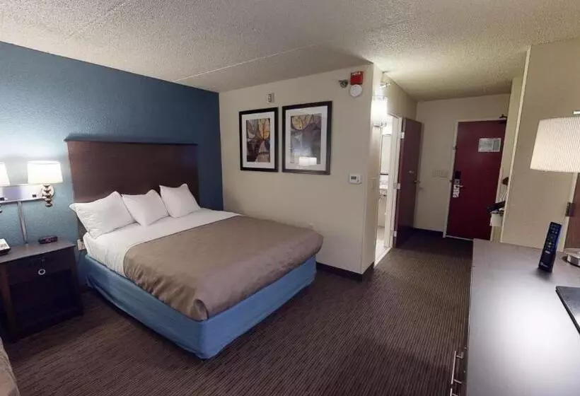Deluxe-huone Soveltuu Liikuntarajoitteisille, Americinn By Wyndham Mounds View Minneapolis