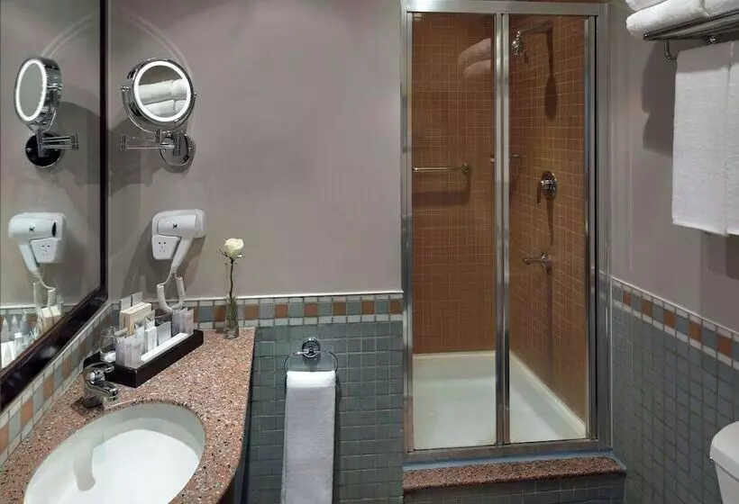 Classic-huone Parivuode, Anwar Al Madinah Movenpick
